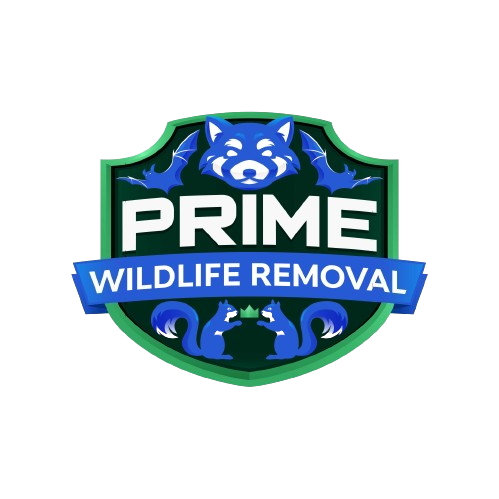 Animal Removal Ford County